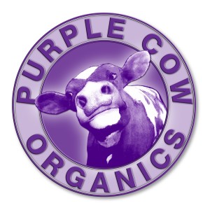 hi-rez purple cow logo jpeg