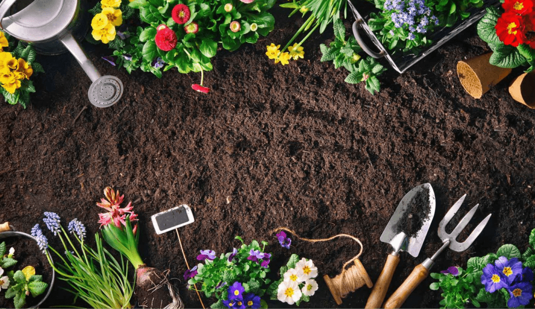 Wood   Bark Mulches 