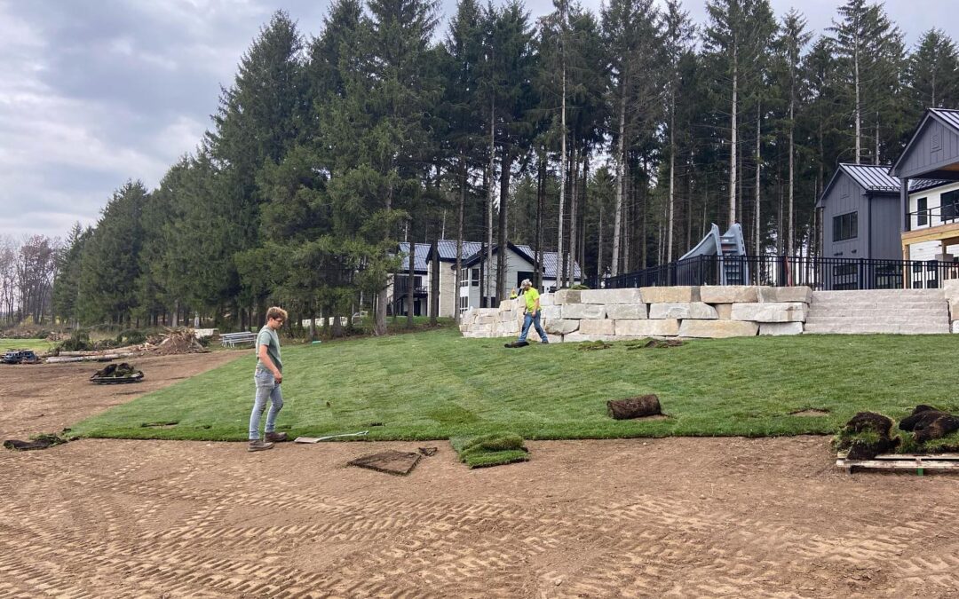 Care Instructions for Sod