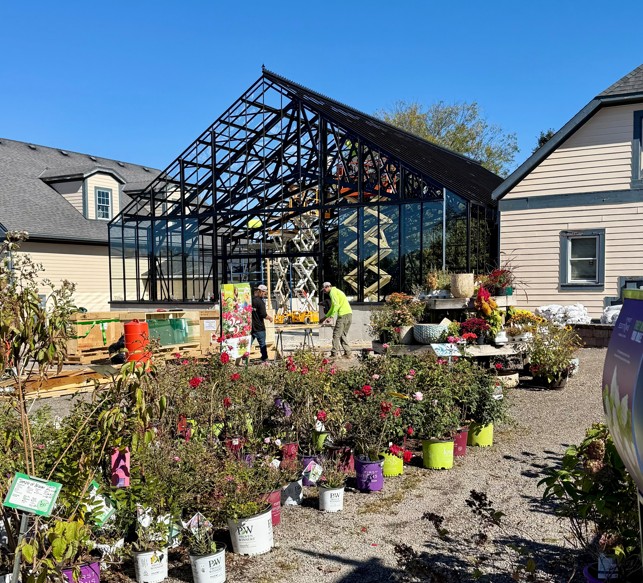 greenhouse2